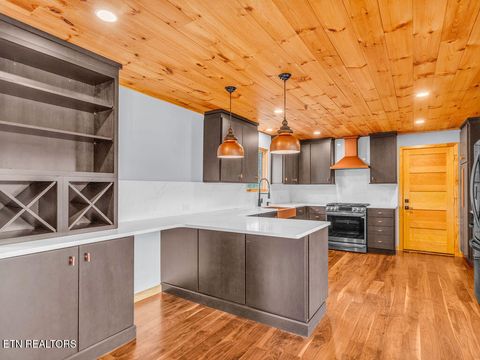 Tiny photo for 1271 Whitaker Rd, New Market, TN 37820 (MLS # 1323698)