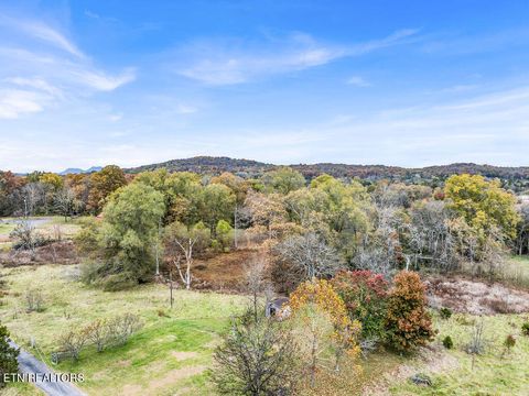 Tiny photo for 1271 Whitaker Rd, New Market, TN 37820 (MLS # 1323698)