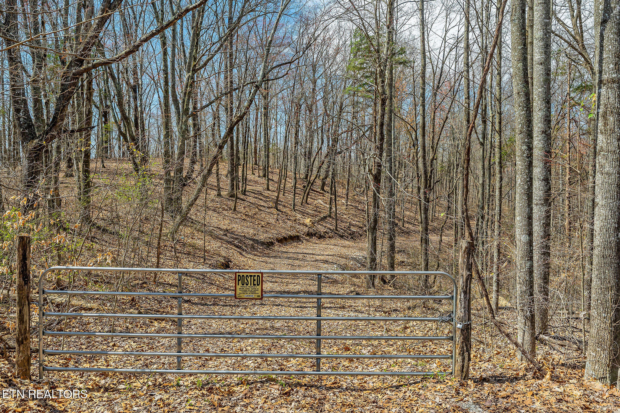 White Oak Flatt Rd