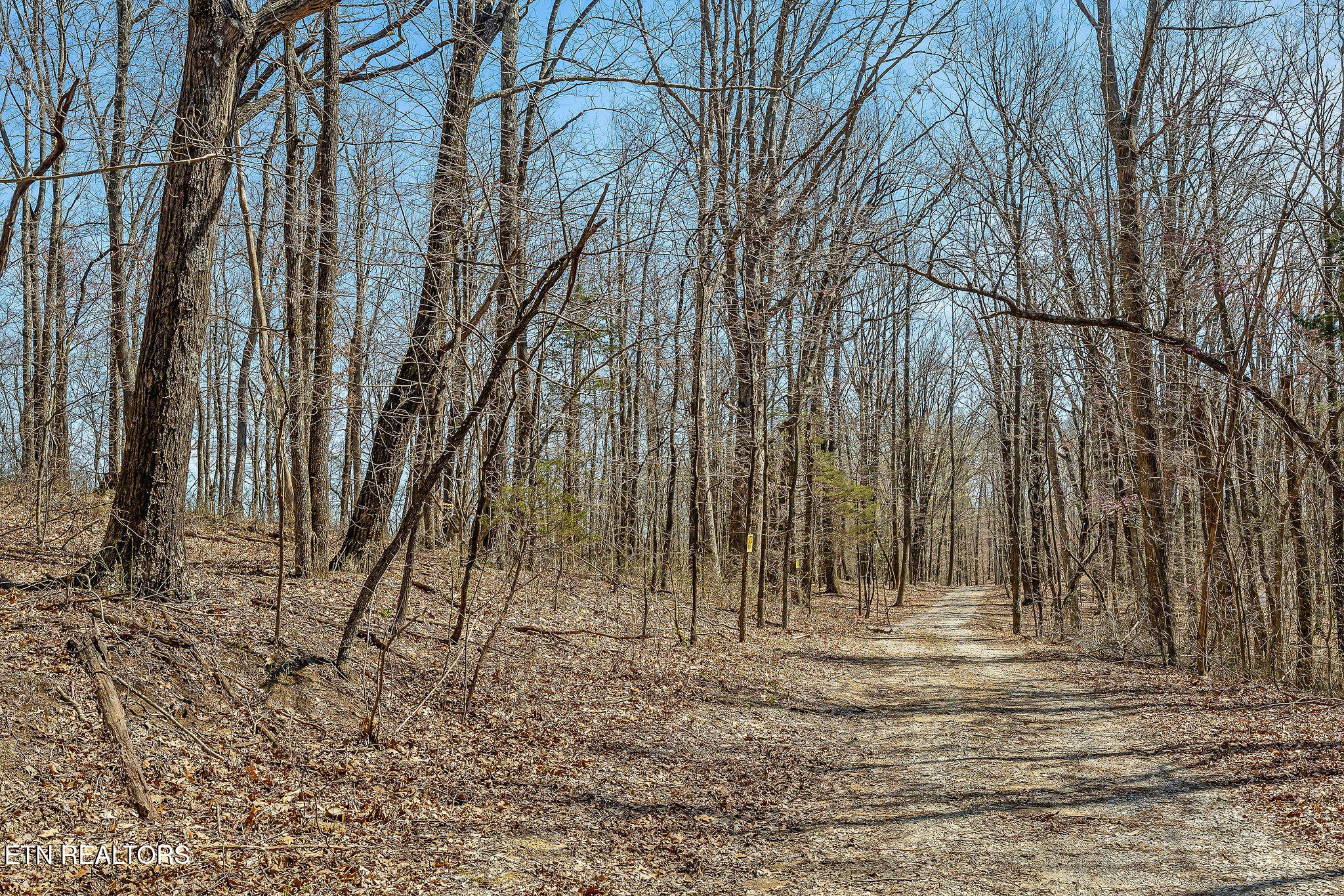 White Oak Flatt Rd