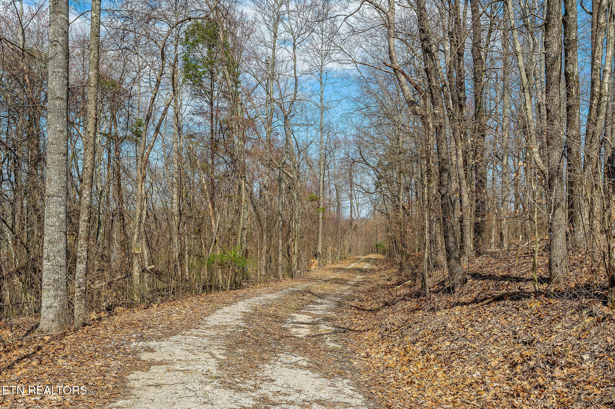 White Oak Flatt Rd
