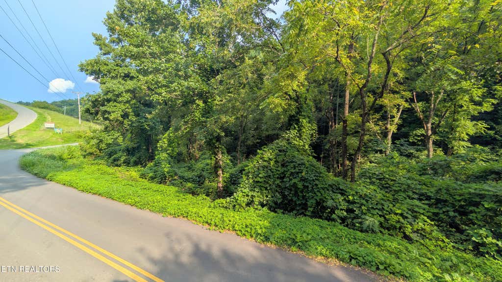 Photo of 1309 Matthews Hollow Rd, Sevierville, TN 37876 (MLS # 1352271)