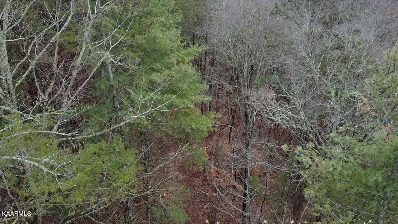Photo 22 of 41 of Cagle Rd land
