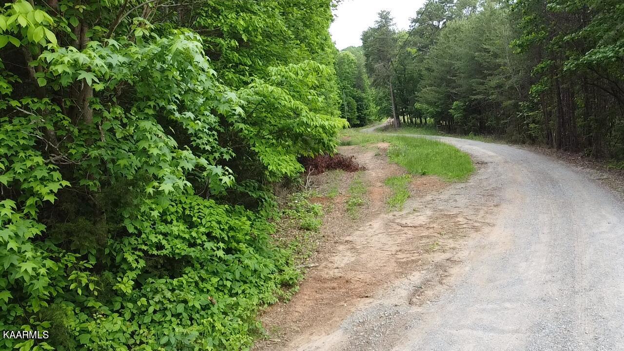 Photo 14 of 41 of Cagle Rd land