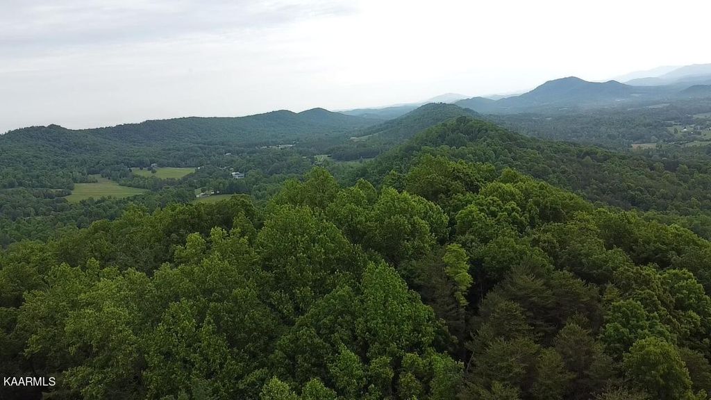 Photo of Cagle Rd, Tellico Plains, TN 37385 (MLS # 1226727)