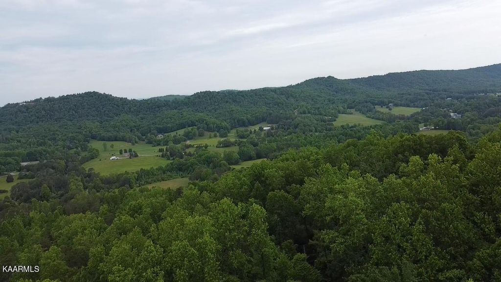 Photo of Cagle Rd, Tellico Plains, TN 37385 (MLS # 1226727)