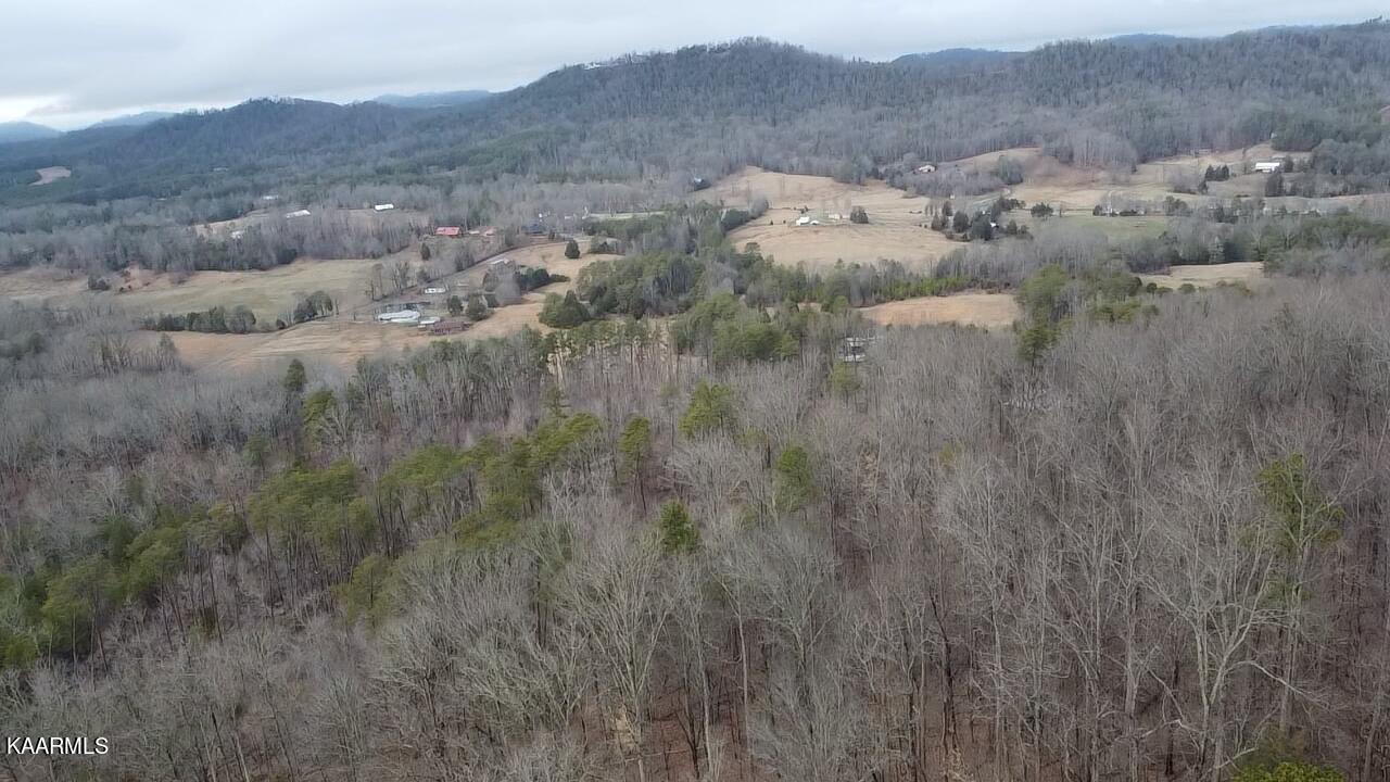 Photo 39 of 41 of Cagle Rd land
