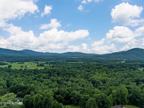 Tiny photo for 440 Liberty Rd, Wartburg, TN 37887 (MLS # 1346598)