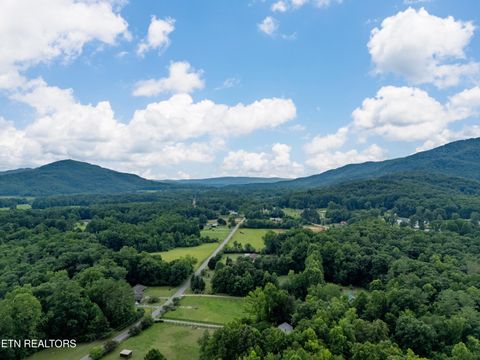 Tiny photo for 440 Liberty Rd, Wartburg, TN 37887 (MLS # 1346598)