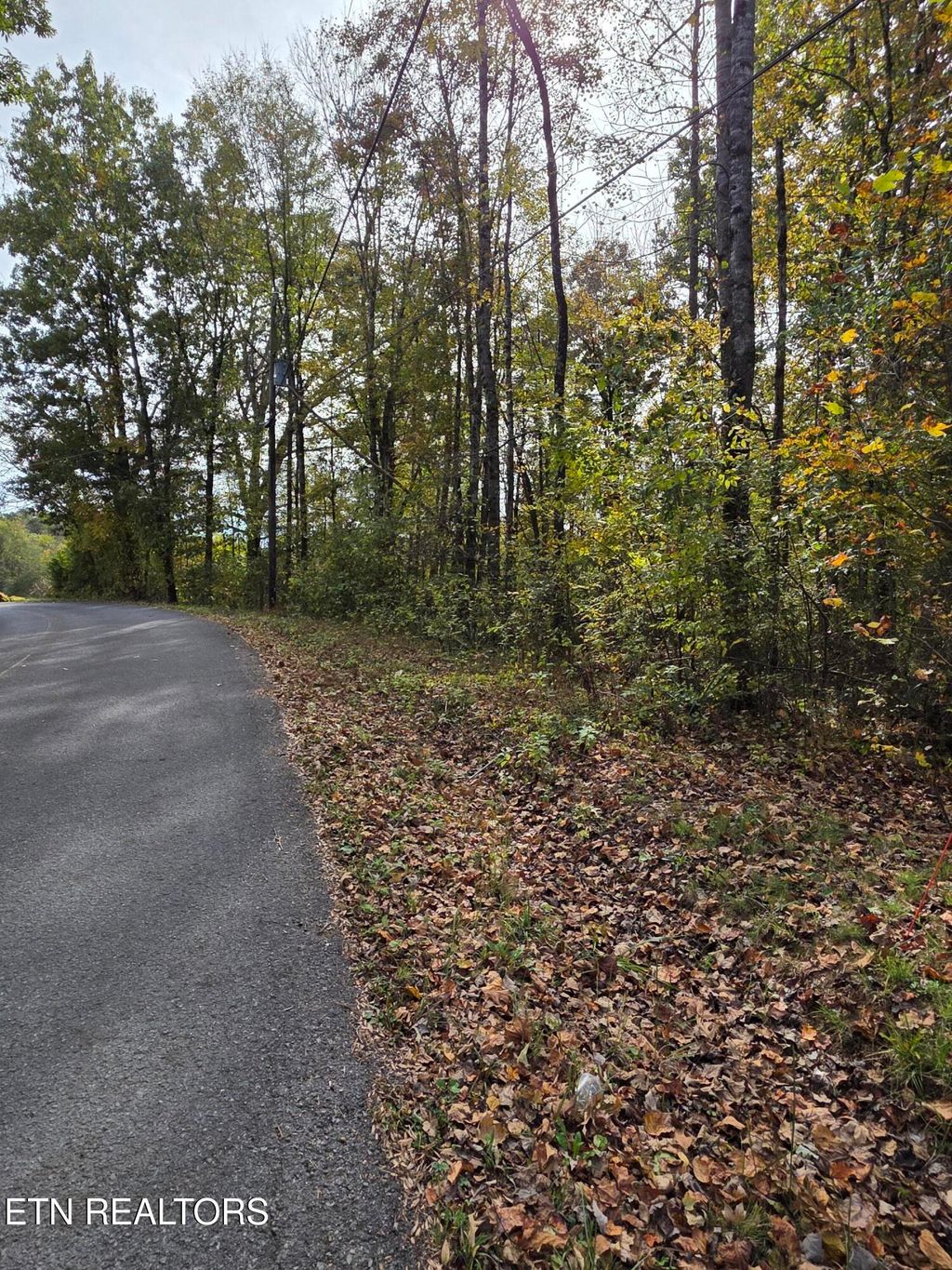 Photo of 2310 Roseberry Rd, Mascot, TN 37806 (MLS # 1319896)