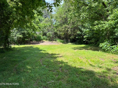 Tiny photo for 119 Carey Street ST, Vonore, TN 37885 (MLS # 1347739)