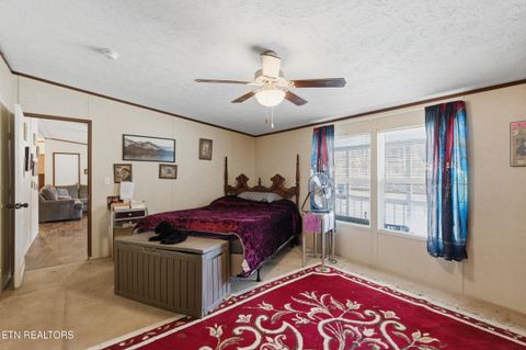 Tiny photo for 3440 Sulphur Springs Rd, Morristown, TN 37813 (MLS # 1327868)