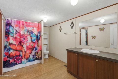 Tiny photo for 3440 Sulphur Springs Rd, Morristown, TN 37813 (MLS # 1327868)