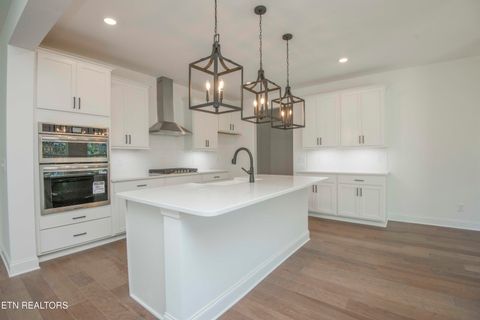 Tiny photo for 471 Ivey Farms Road (Lot 68), Farragut, TN 37934 (MLS # 1334064)