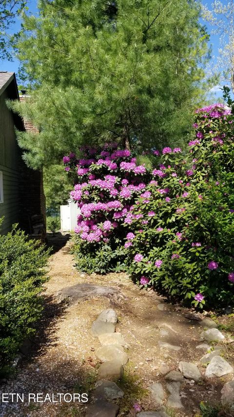 Tiny photo for 244 Lakeside Dr Dr, Fairfield Glade, TN 38558 (MLS # 1324425)