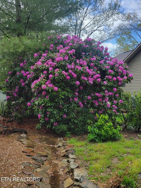 Tiny photo for 244 Lakeside Dr Dr, Fairfield Glade, TN 38558 (MLS # 1324425)