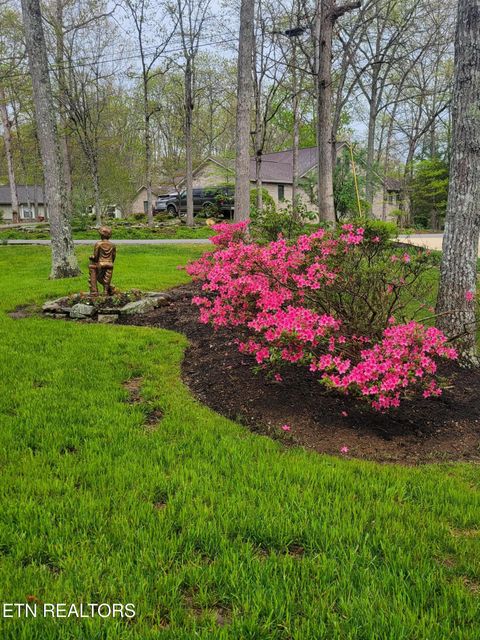 Tiny photo for 244 Lakeside Dr Dr, Fairfield Glade, TN 38558 (MLS # 1324425)