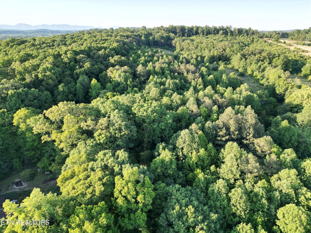 Photo of White Wing Rd, Lenoir City, TN 37771 (MLS # 1340561)