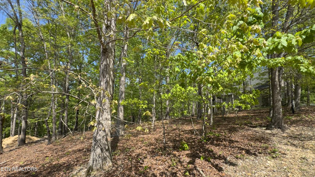 Photo of 2085 Old Dogwood Tr, Loudon, TN 37774 (MLS # 1337051)