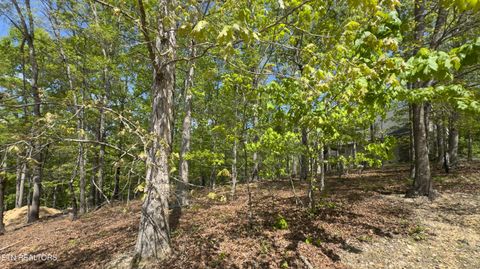 Photo of 2085 Old Dogwood Tr, Loudon, TN 37774 (MLS # 1337051)