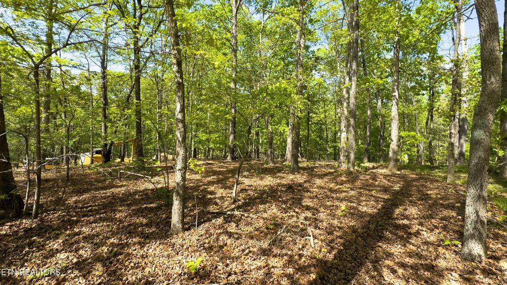 Photo of 2085 Old Dogwood Tr, Loudon, TN 37774 (MLS # 1337051)