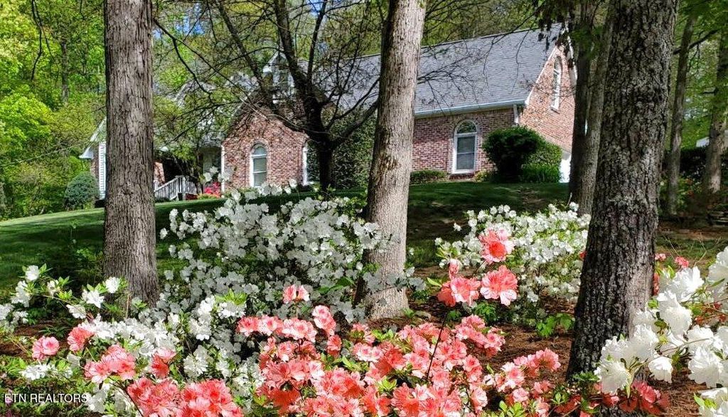 Photo of 3008 Williams Rd, Knoxville, TN 37932 (MLS # 1309676)