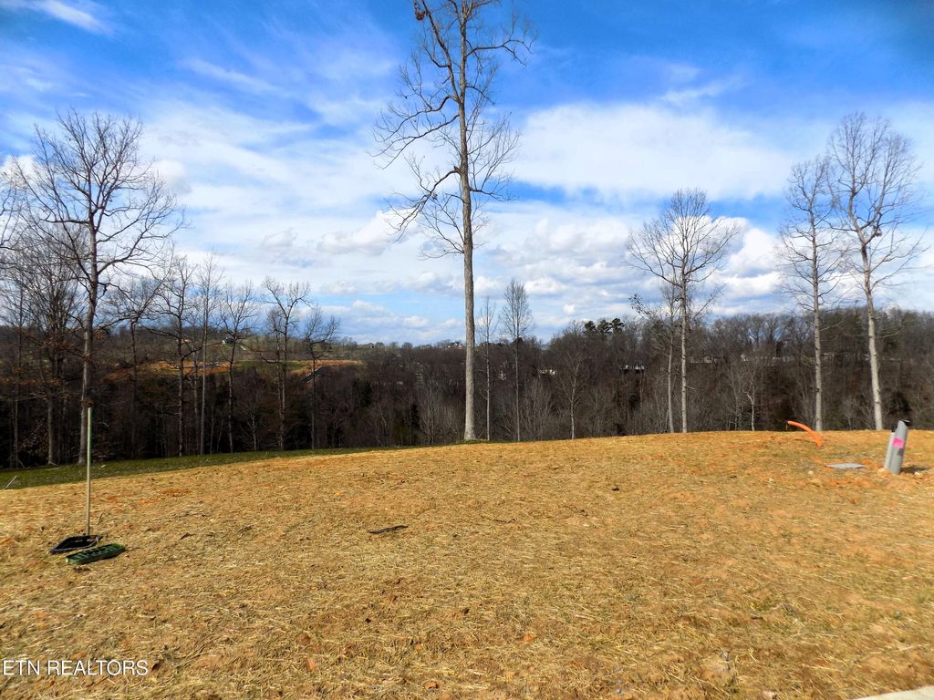 Photo of 35 Graystone Shoals, Morristown, TN 37814 (MLS # 1331731)