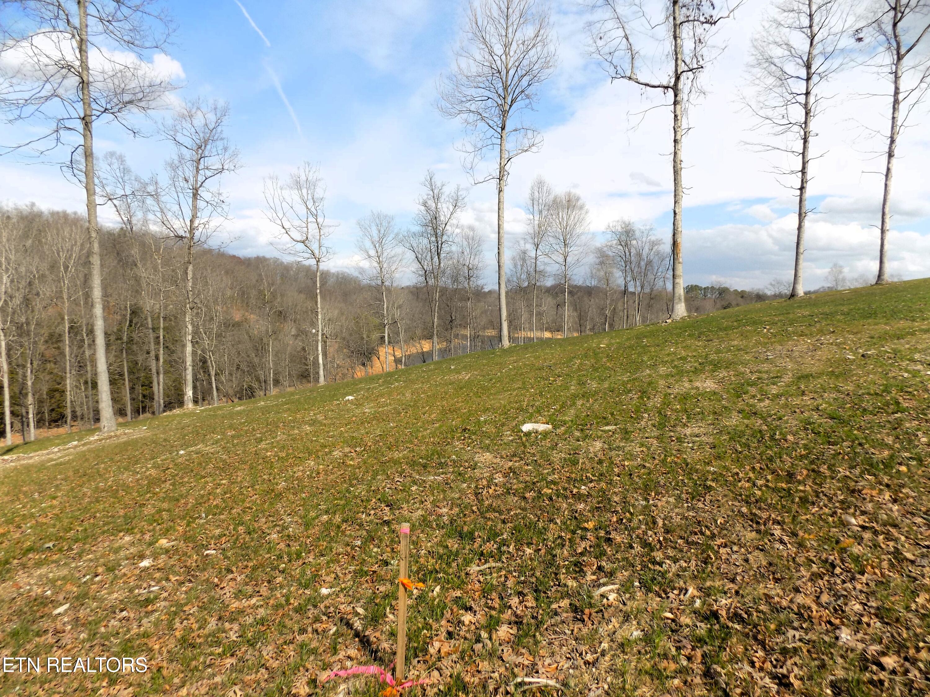 Lot 35 Graystone Shoals