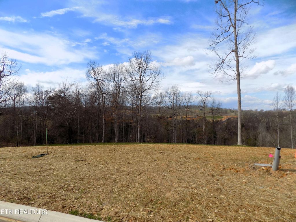 Photo of 35 Graystone Shoals, Morristown, TN 37814 (MLS # 1331731)