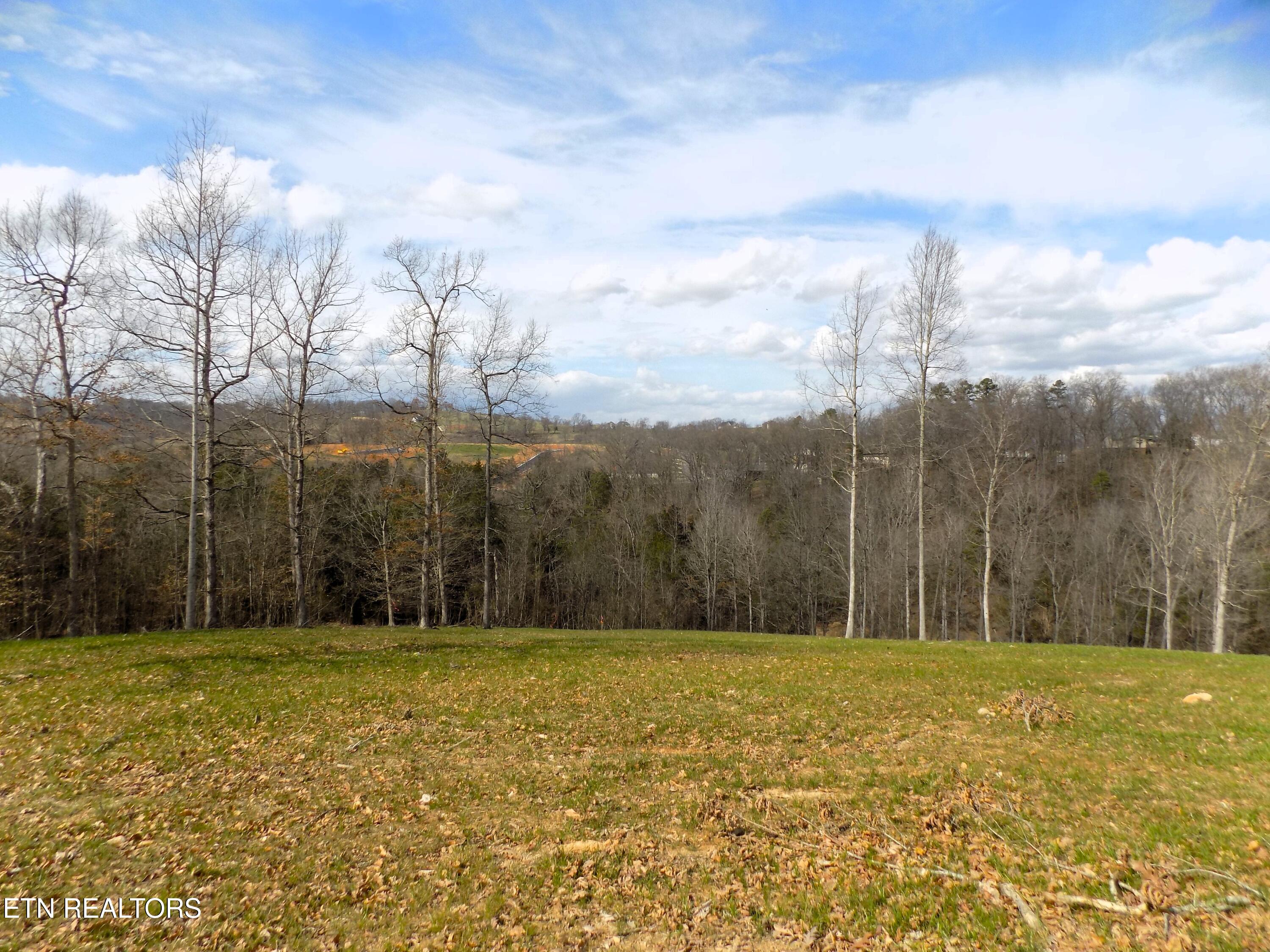 Lot 35 Graystone Shoals