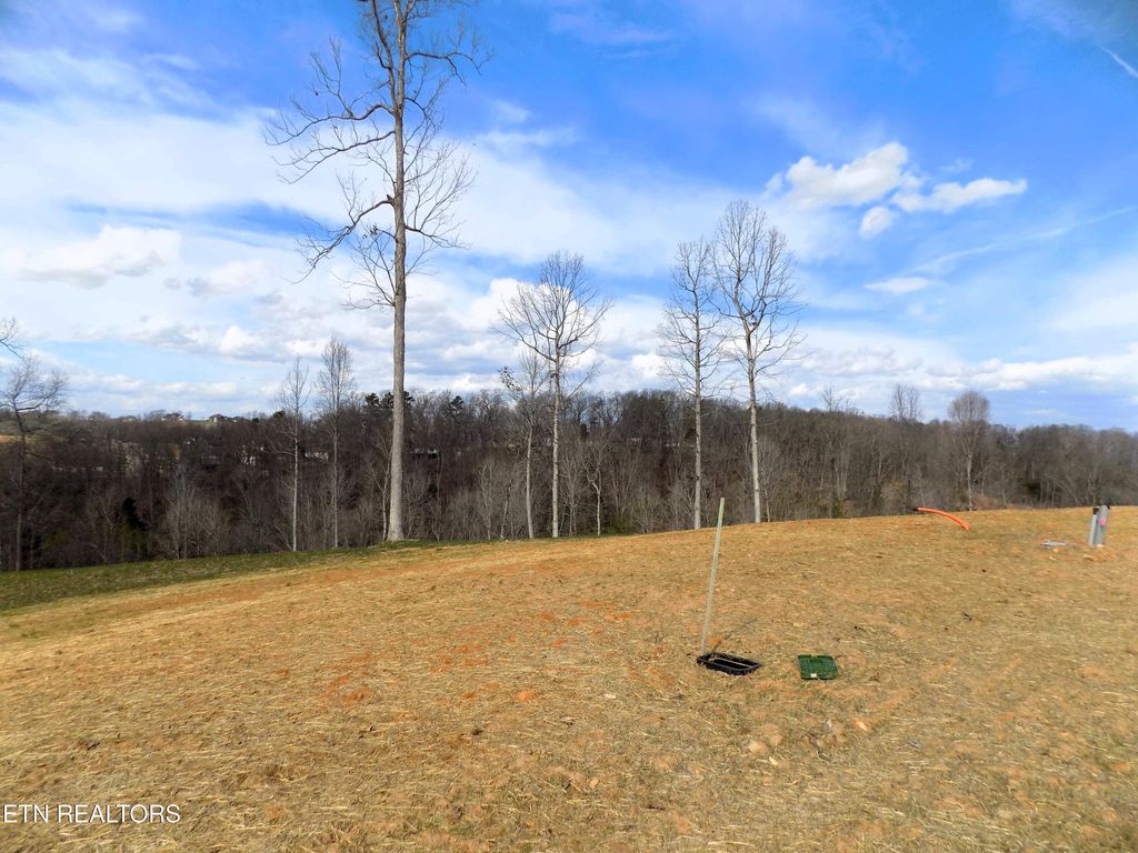 Photo of 35 Graystone Shoals, Morristown, TN 37814 (MLS # 1331731)