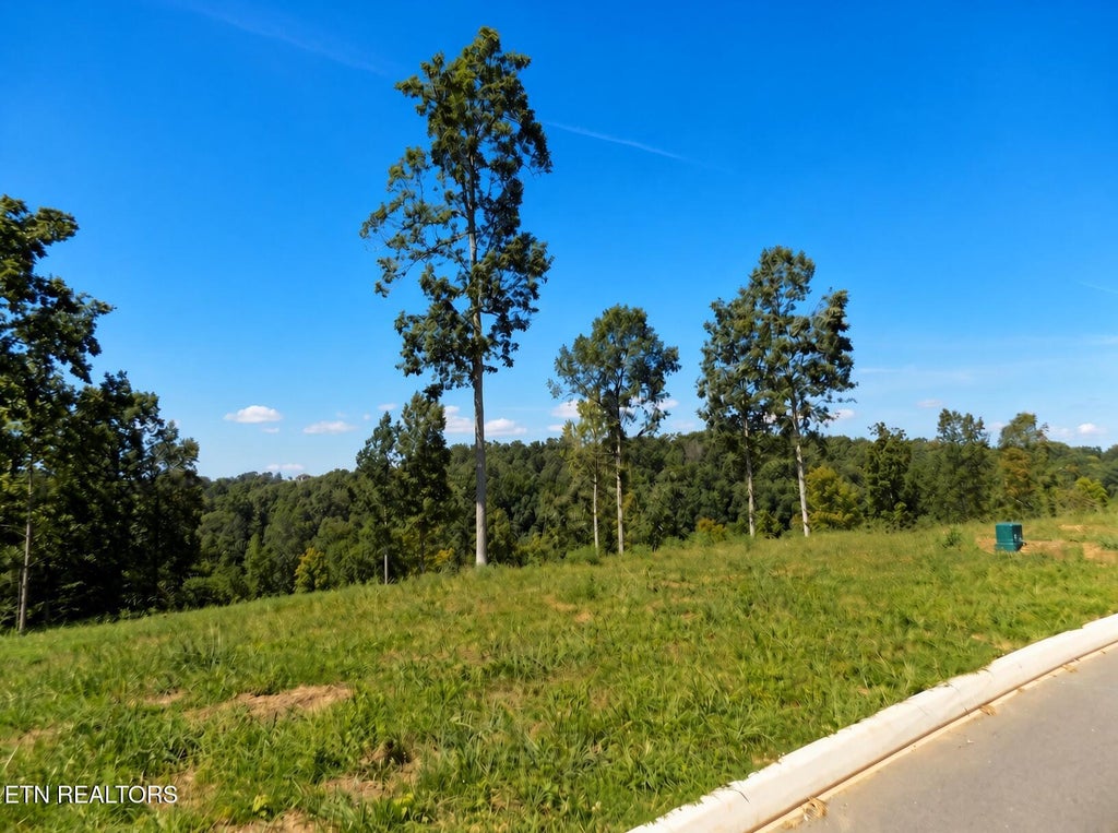 Photo of 35 Graystone Shoals, Morristown, TN 37814 (MLS # 1331731)