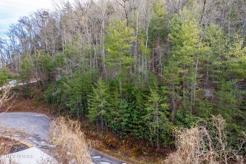 Photo of 514 Chetola Tr, Townsend, TN 37882 (MLS # 1287854)
