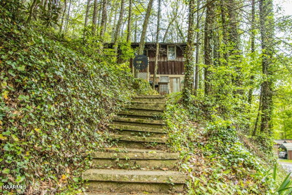 Photo of 310 Lovers Lane, Townsend, TN 37882 (MLS # 1225524)