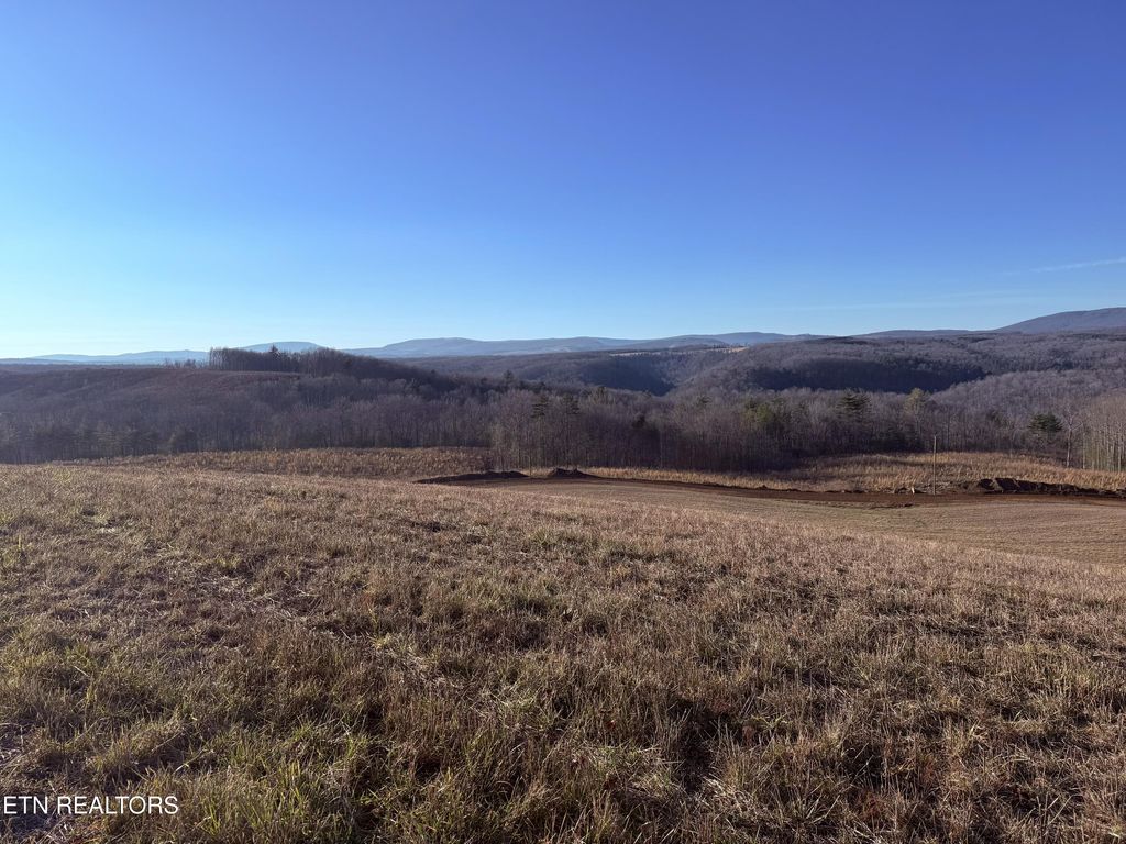 Photo of Possom Trot Rd. - Tract 4, Grandview, TN 37337 (MLS # 1326743)