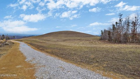 Tiny photo for Possom Trot Rd. - Tract 4, Grandview, TN 37337 (MLS # 1326743)