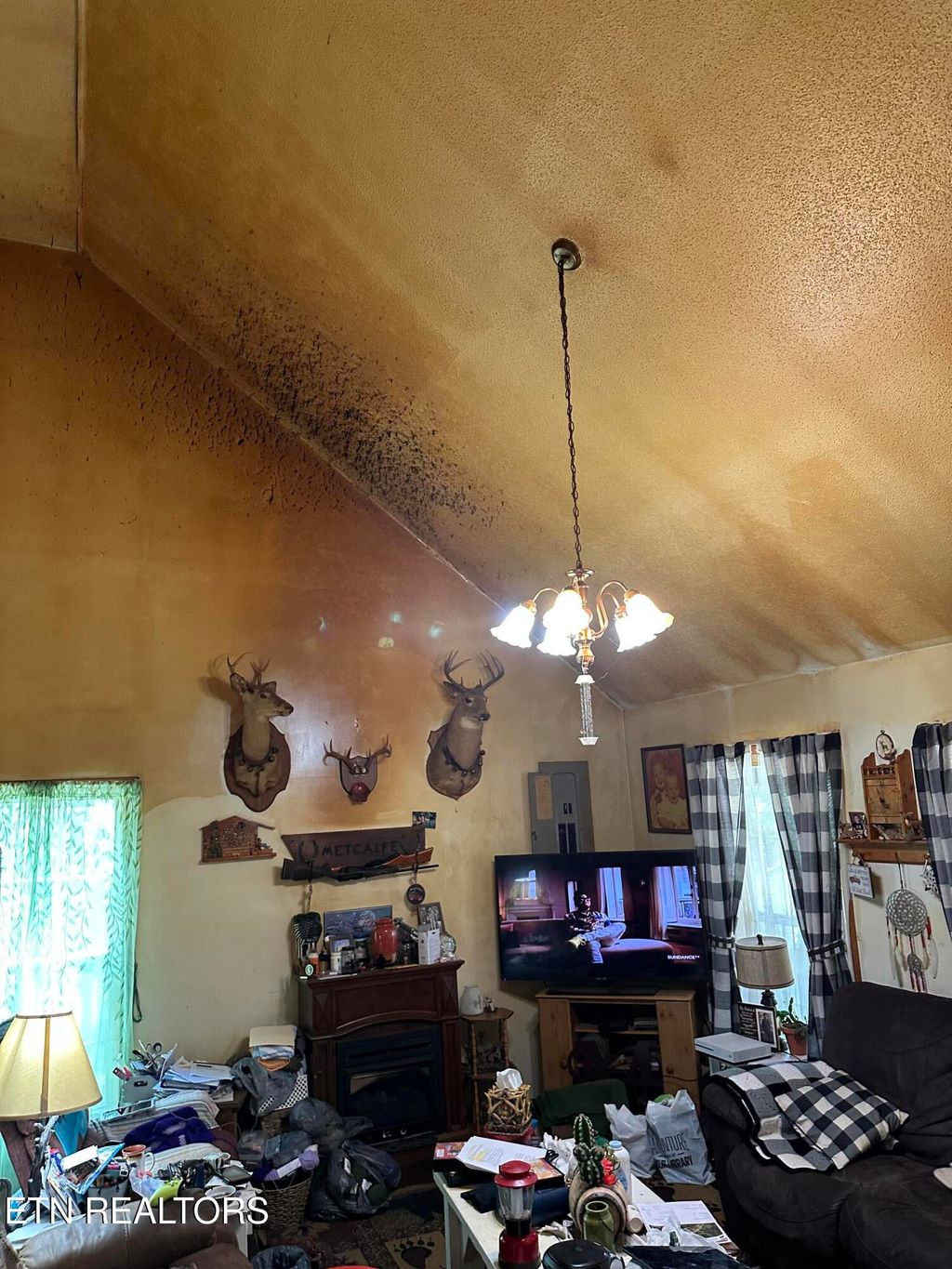 Photo of 43 Metcalfe Lane, Rockwood, TN 37854 (MLS # 1310512)