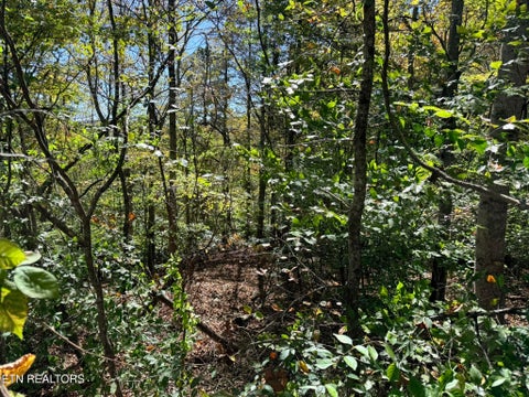 Tiny photo for Indian Creek Rd, Jacksboro, TN 37757 (MLS # 1359565)