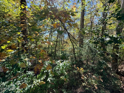Tiny photo for Indian Creek Rd, Jacksboro, TN 37757 (MLS # 1359565)