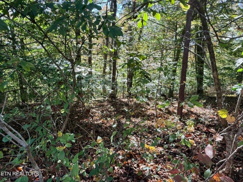 Tiny photo for Indian Creek Rd, Jacksboro, TN 37757 (MLS # 1359565)