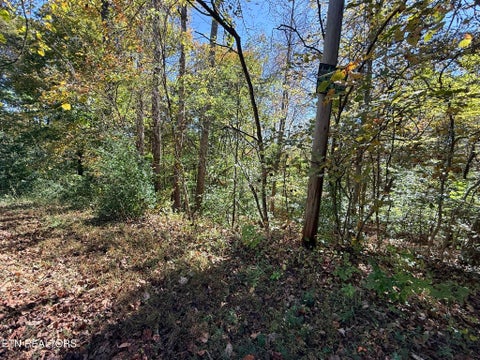 Tiny photo for Indian Creek Rd, Jacksboro, TN 37757 (MLS # 1359565)
