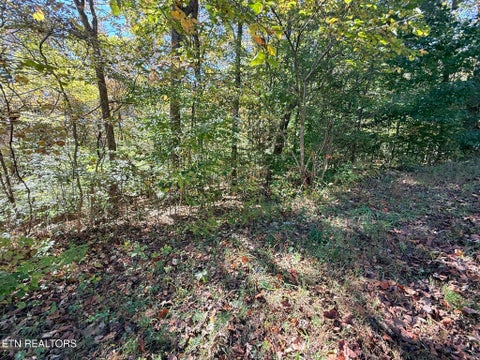 Tiny photo for Indian Creek Rd, Jacksboro, TN 37757 (MLS # 1359565)