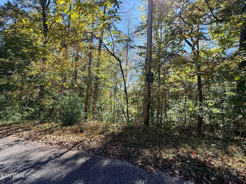 Photo of Indian Creek Rd, Jacksboro, TN 37757 (MLS # 1359565)