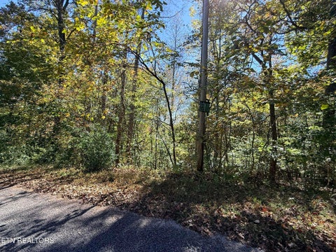 Tiny photo for Indian Creek Rd, Jacksboro, TN 37757 (MLS # 1359565)