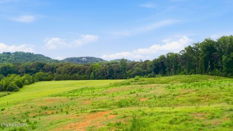 Tiny photo for 101 County Road 757, Riceville, TN 37370 (MLS # 1347915)
