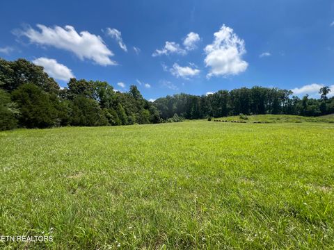 Tiny photo for 101 County Road 757, Riceville, TN 37370 (MLS # 1347915)