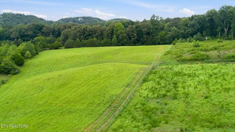 Tiny photo for 101 County Road 757, Riceville, TN 37370 (MLS # 1347915)