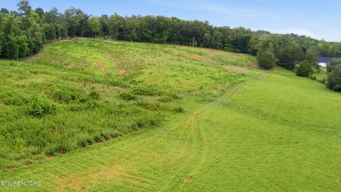 Tiny photo for 101 County Road 757, Riceville, TN 37370 (MLS # 1347915)