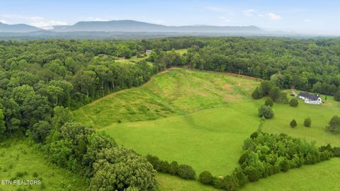 Tiny photo for 101 County Road 757, Riceville, TN 37370 (MLS # 1347915)