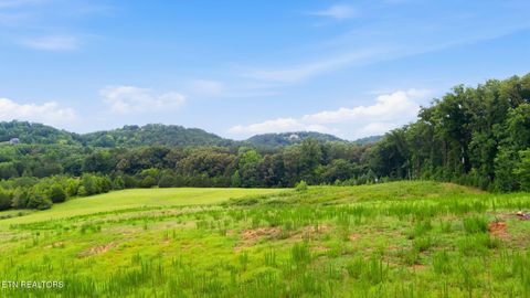 Tiny photo for 101 County Road 757, Riceville, TN 37370 (MLS # 1347915)